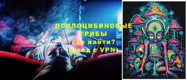 Альфа ПВП Абаза