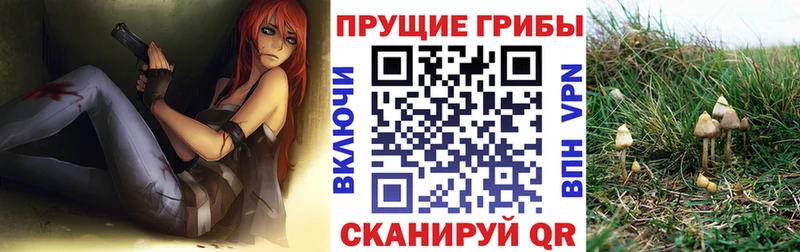 Галлюциногенные грибы MAGIC MUSHROOMS Духовщина